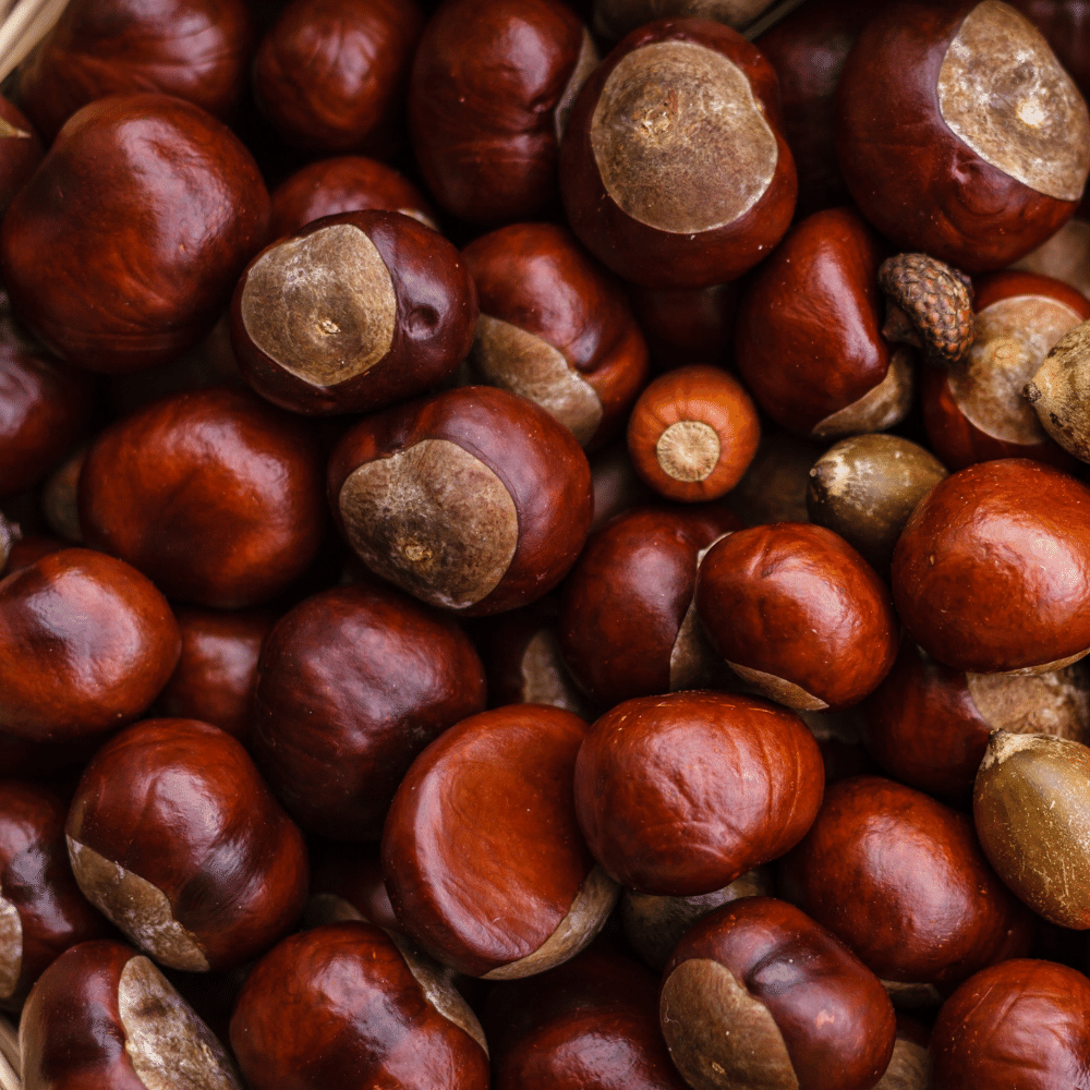 Chestnuts