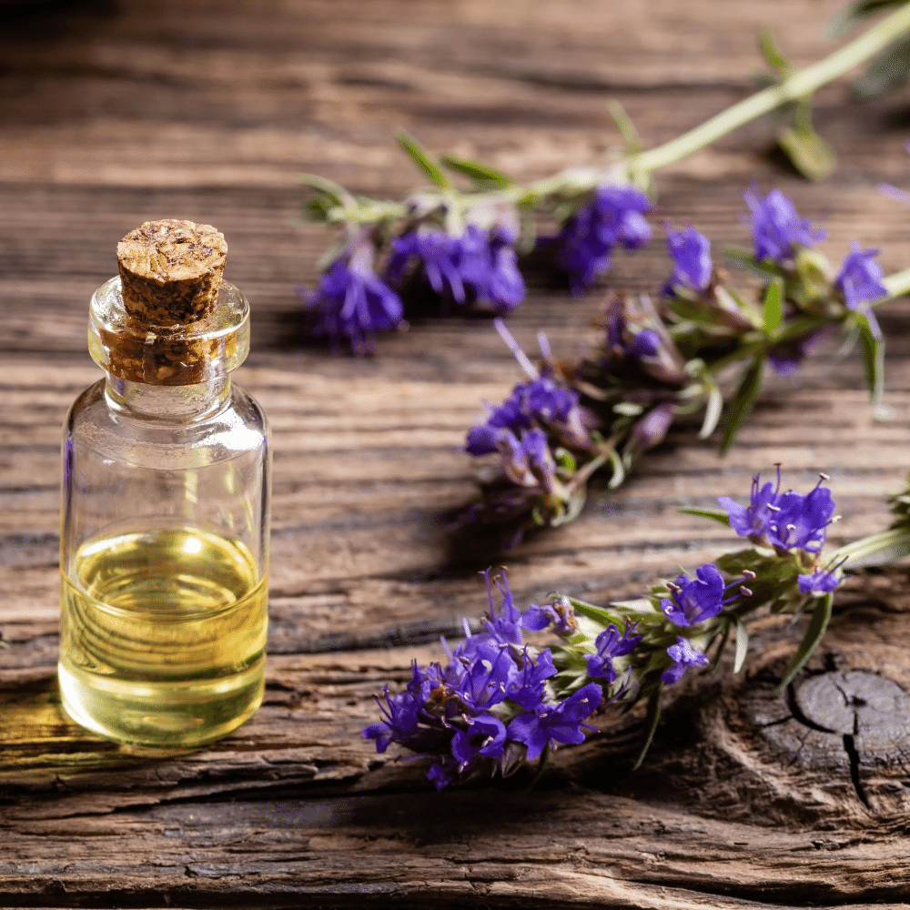 Hyssop
