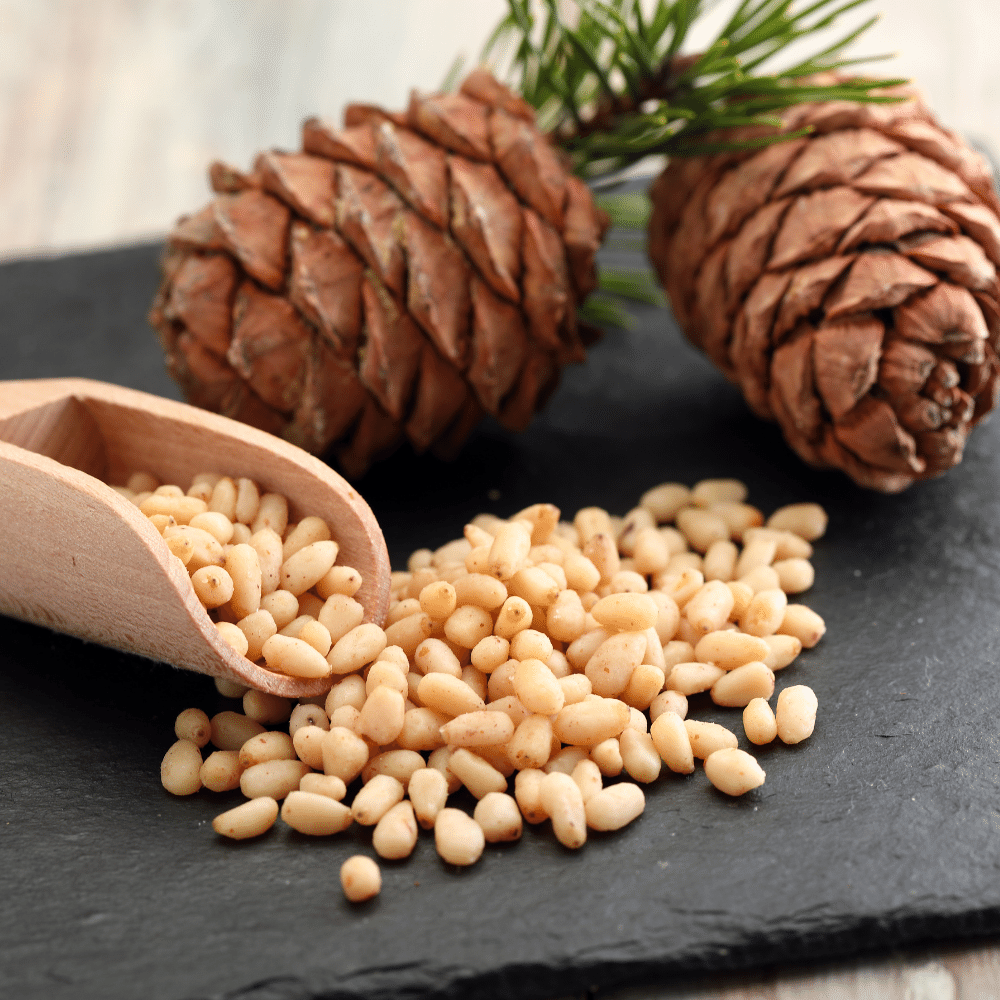 pine nuts