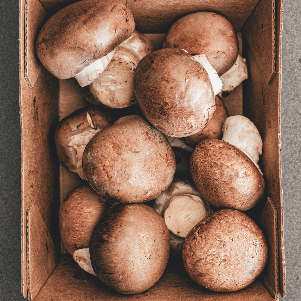 Portobello Mushrooms