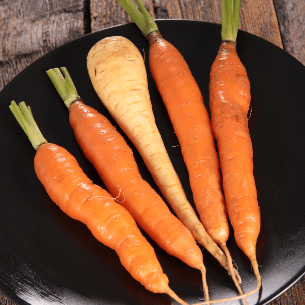 Carrots and Parsnips