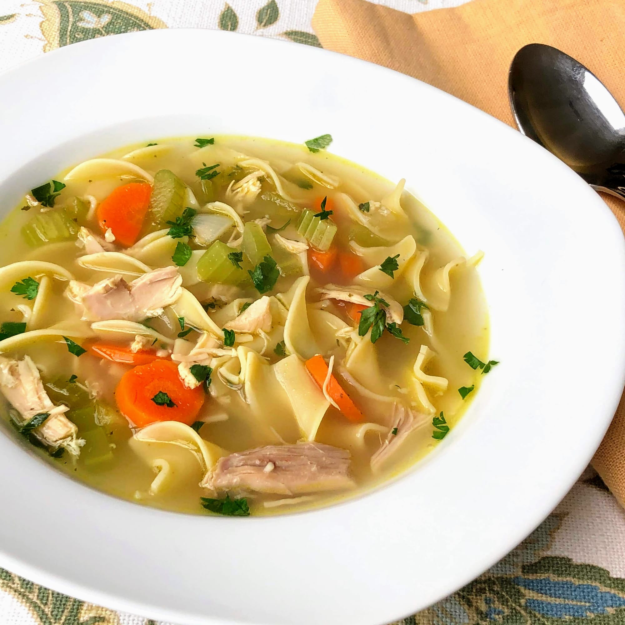 Chicken Noodle Soup