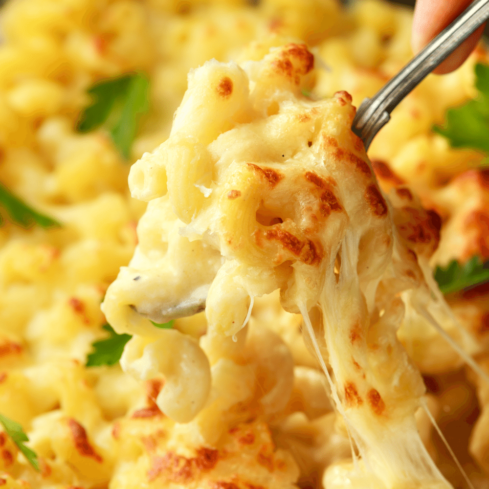 Pasta cheese sauce