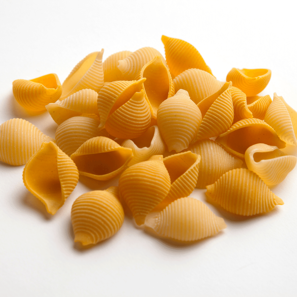 pasta Shells