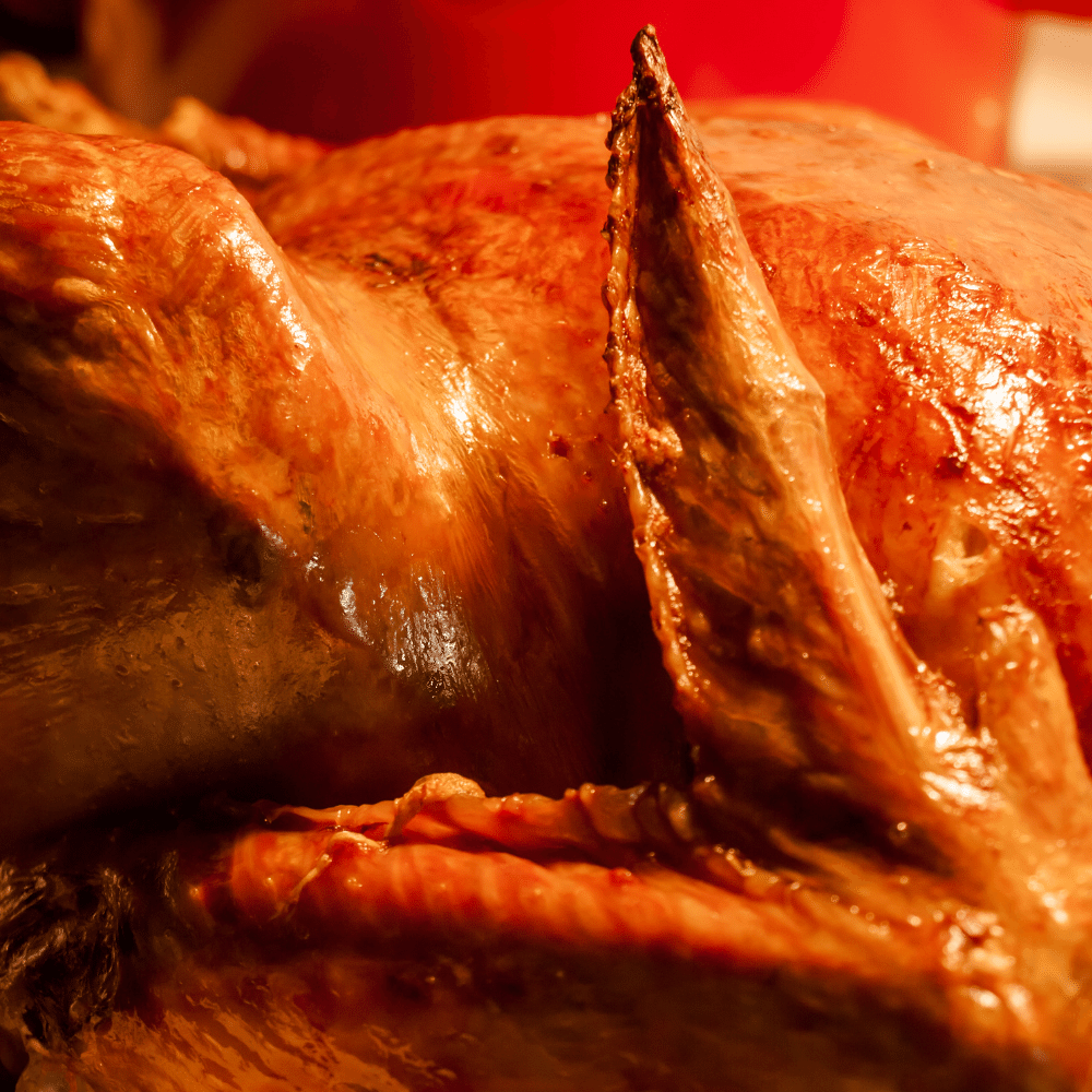 Turkey Wings