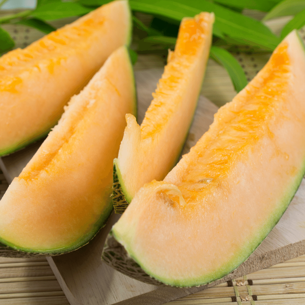 Cantaloupe