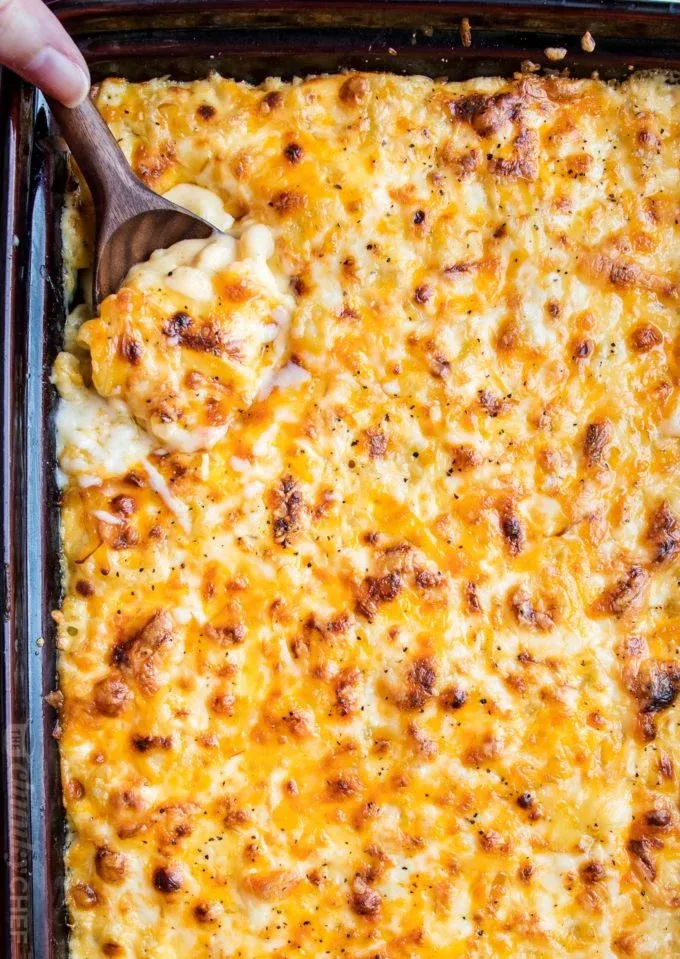 Creamy Macaroni and Cheese