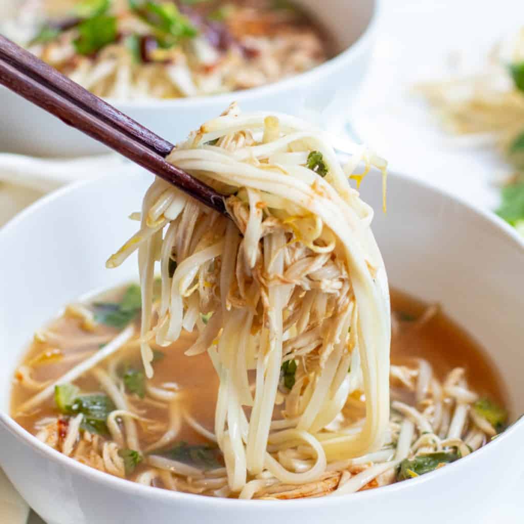 Crockpot Chicken Pho