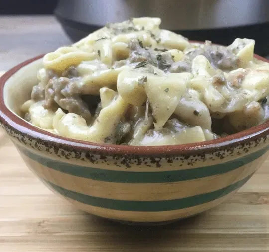 Slow Cooker Ground Beef Stroganoff