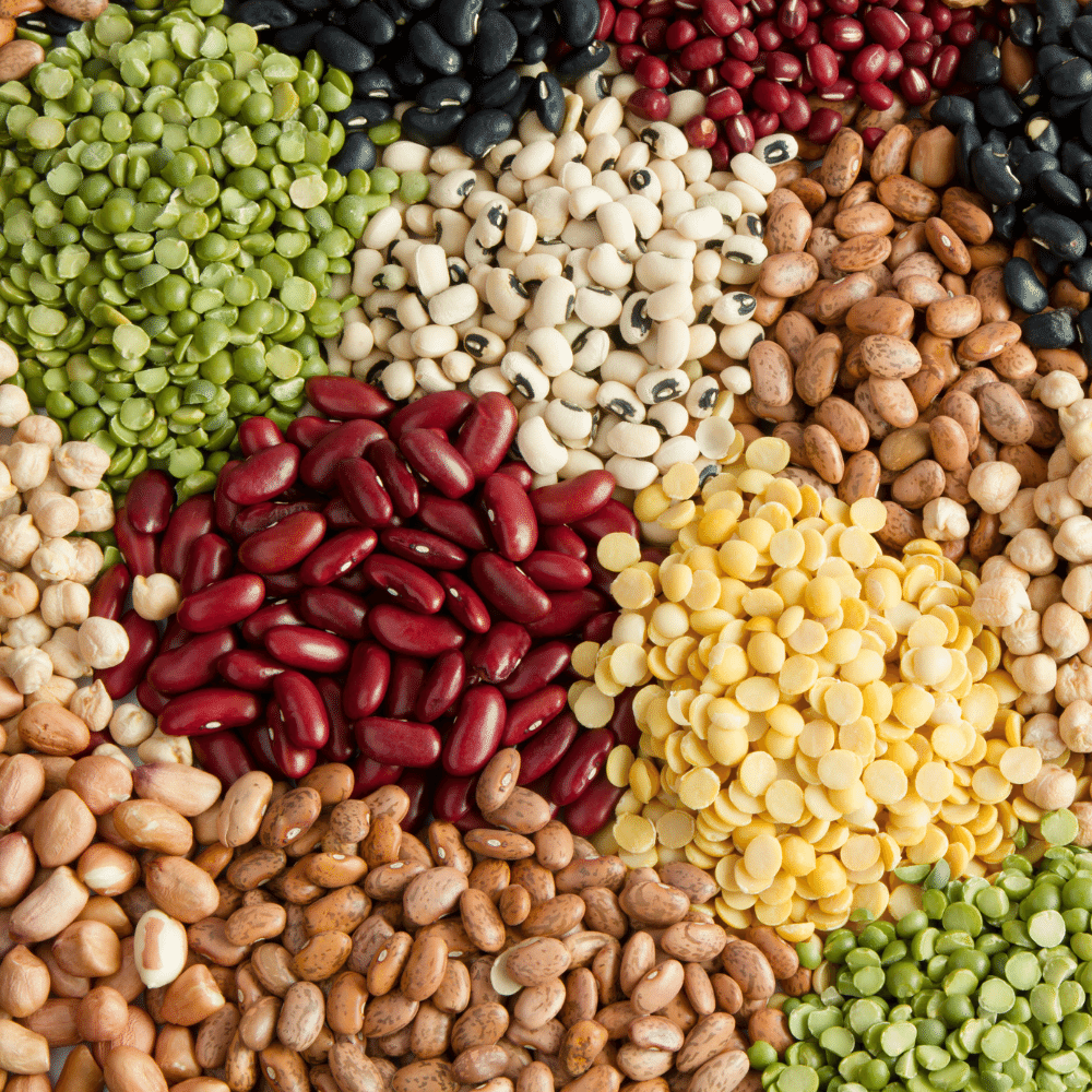Legumes