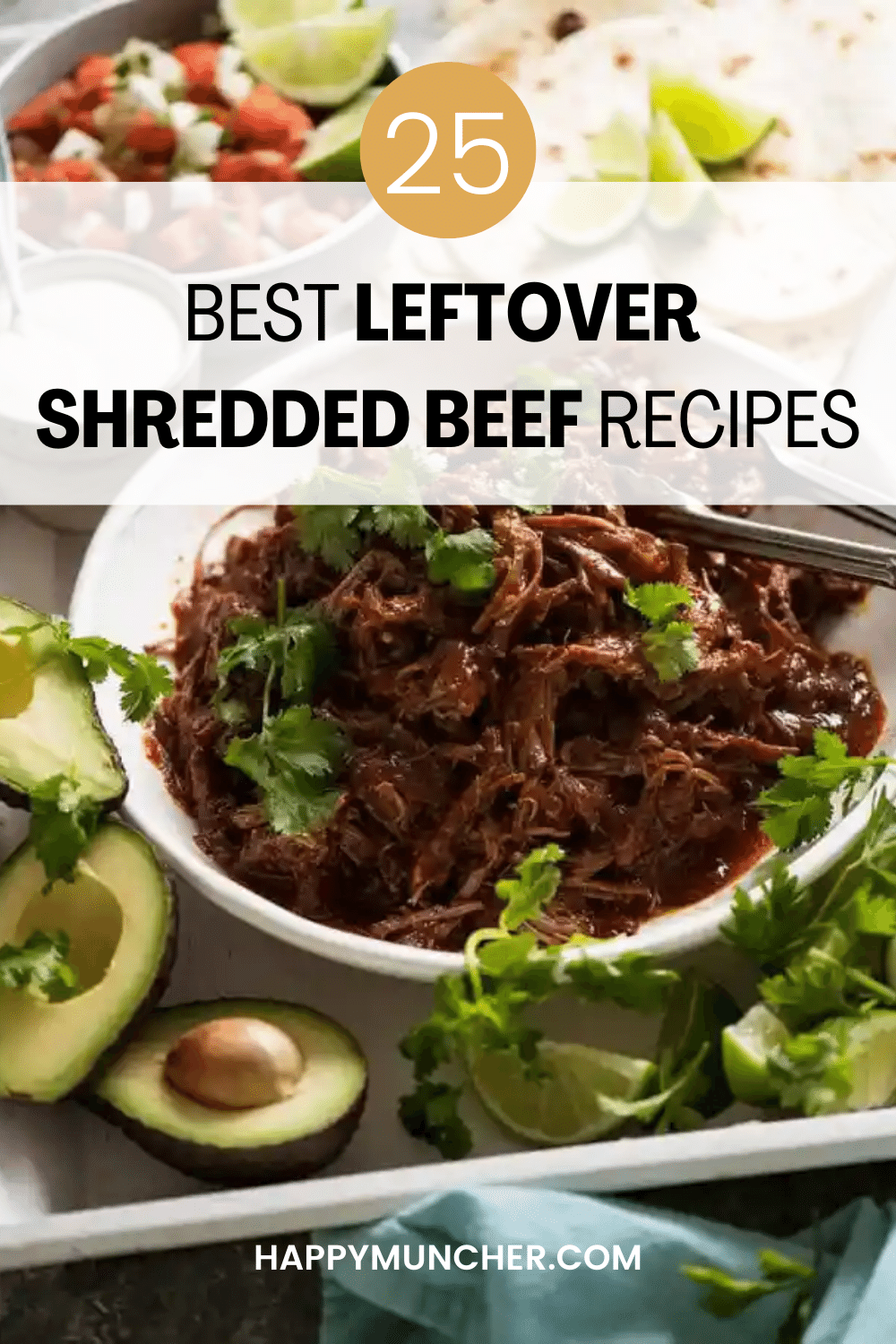 Leftover Shredded Beef Recipes