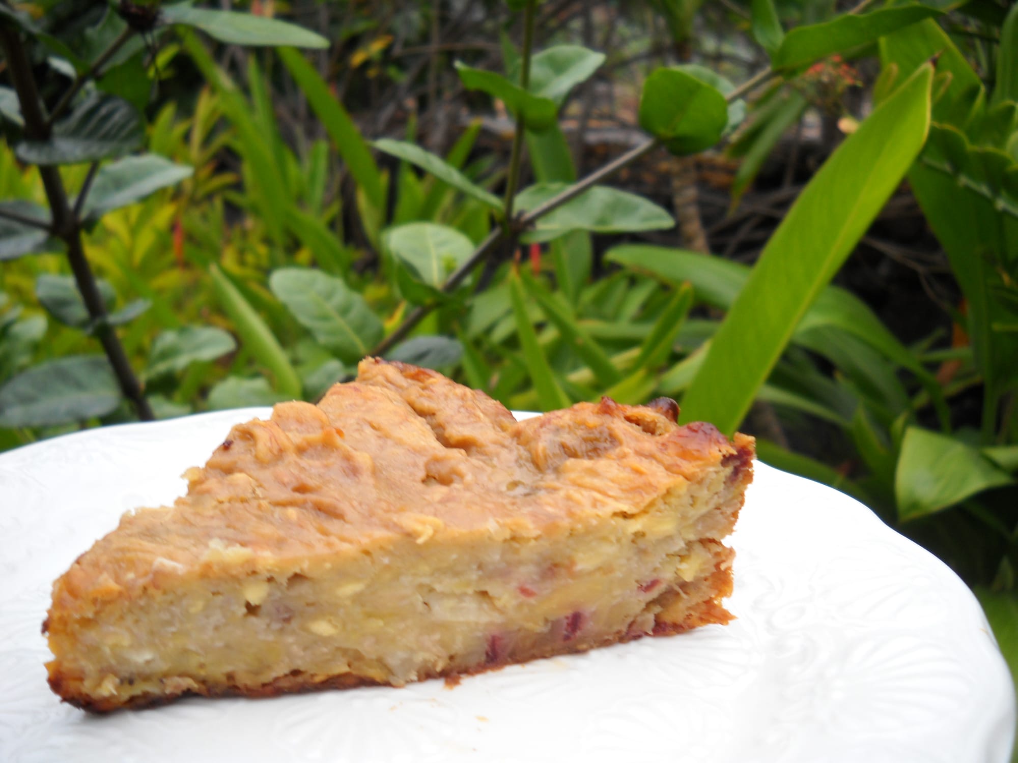 Breadfruit Pie