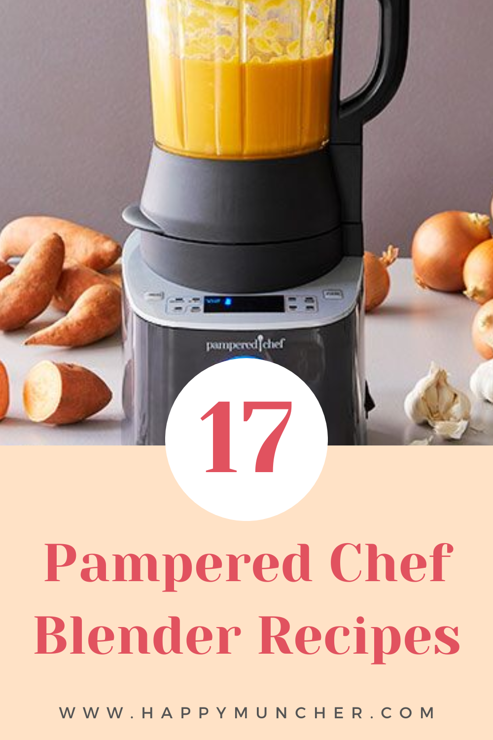 Pampered Chef Blender Recipes
