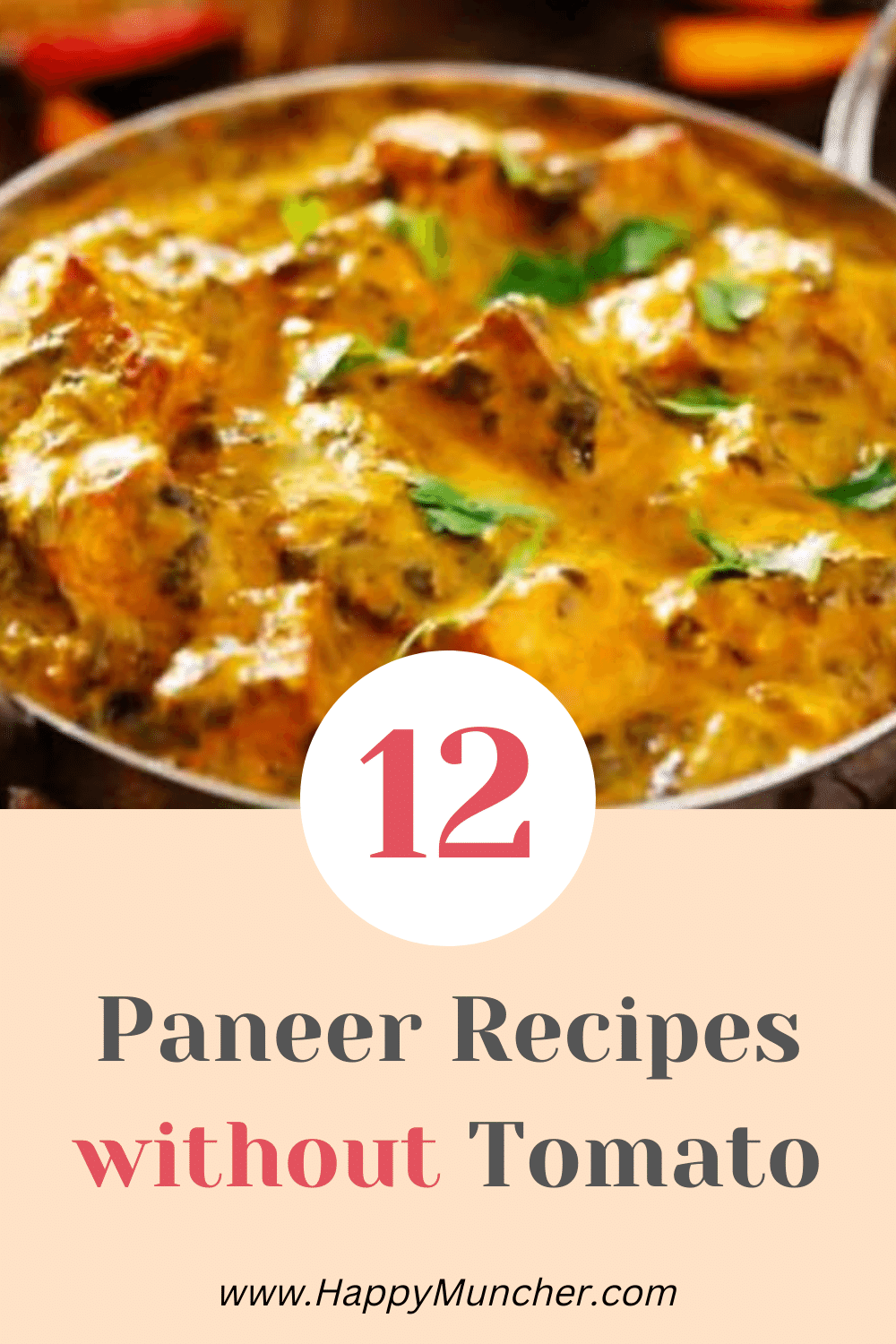 Paneer Recipes without Tomato