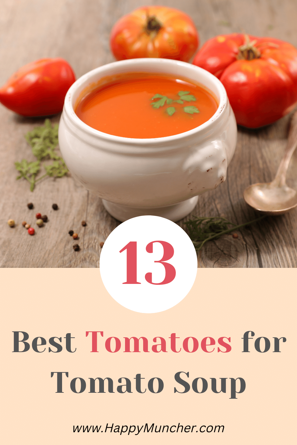 Best Tomatoes for Tomato Soup