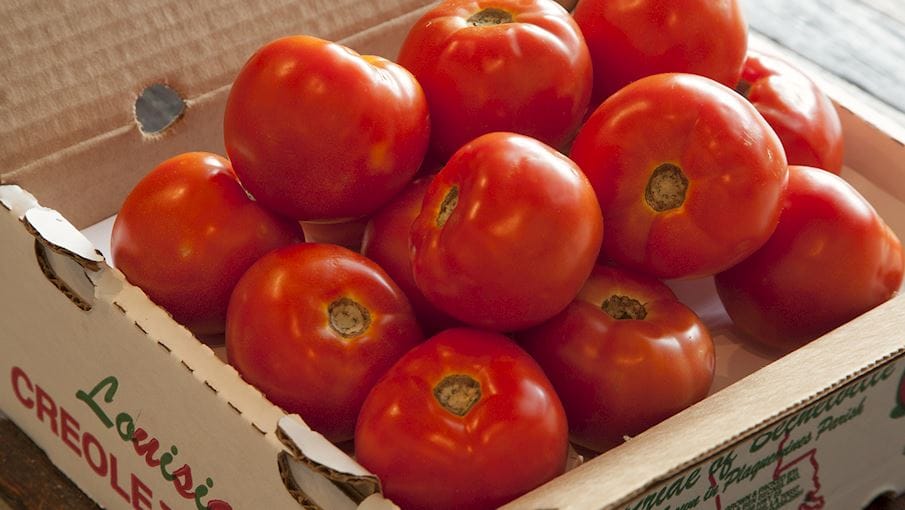 Creole Tomato