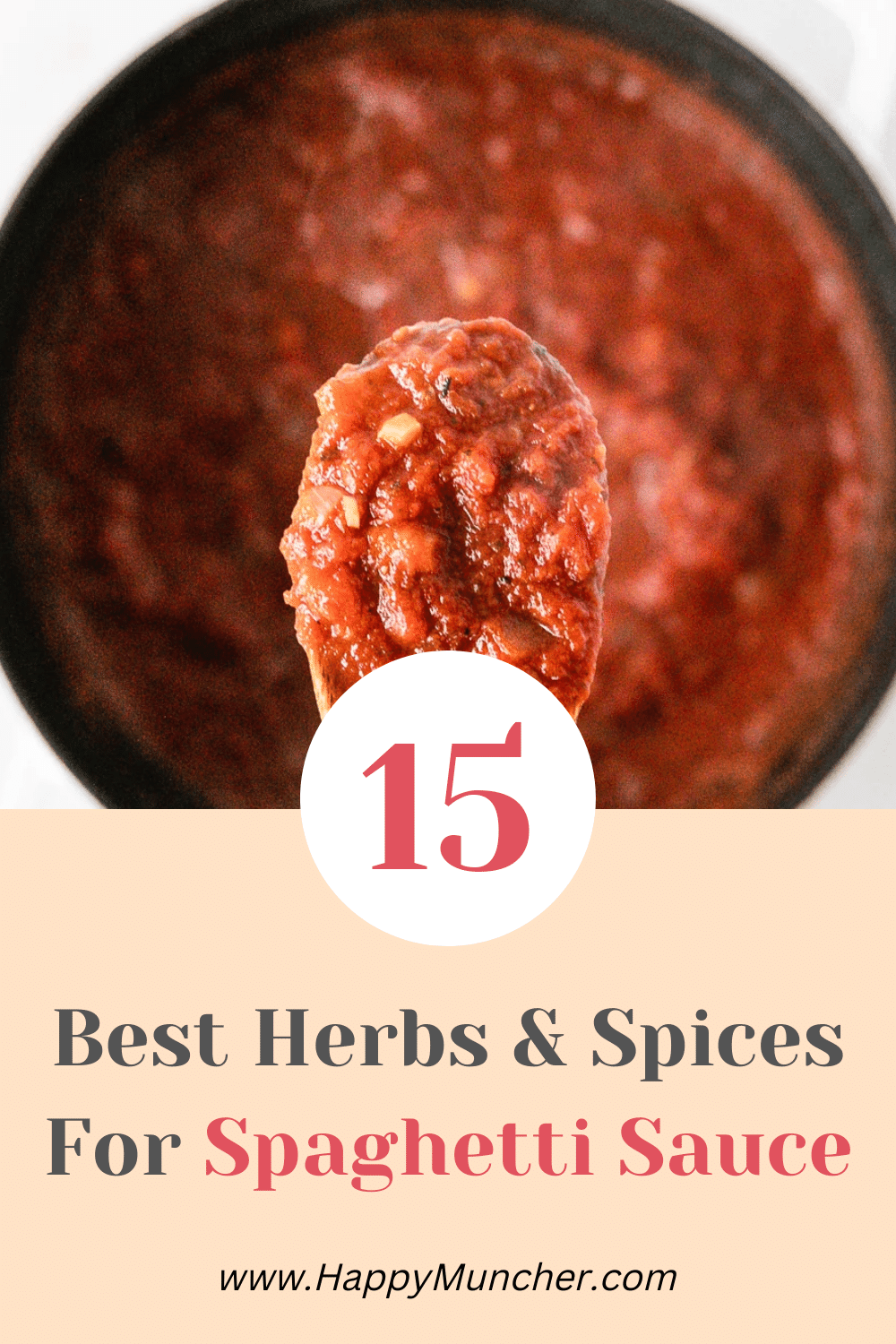 what spices go in spaghetti sauce