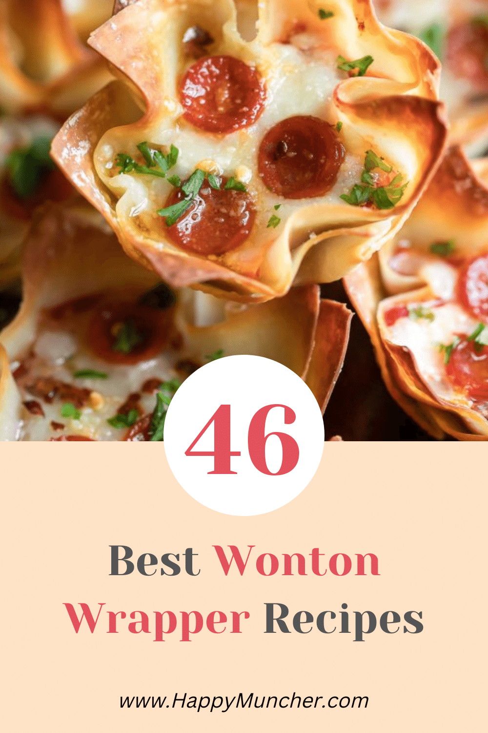 Wonton Wrapper Recipes