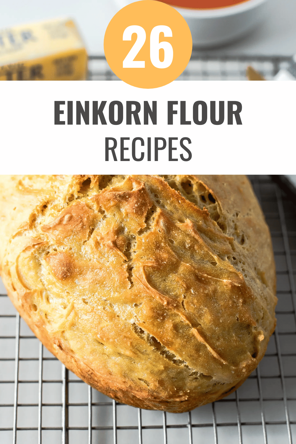 Crusty No Knead Einkorn Bread