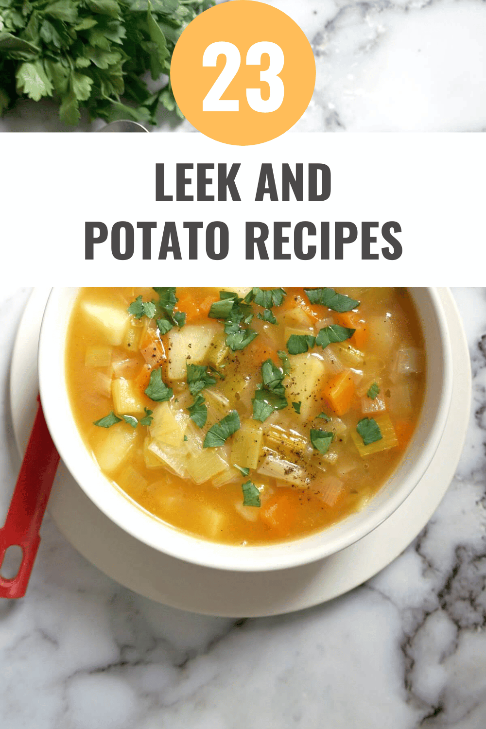 Chunky Leek and Potato Soup