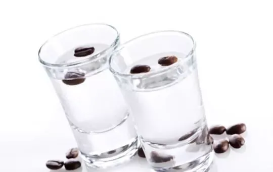 Italian Sambuca