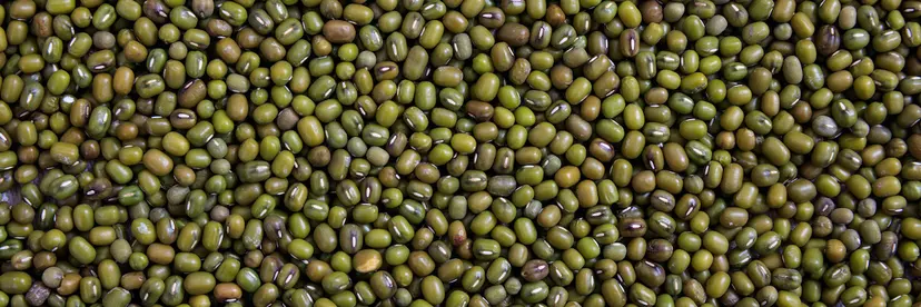 Mung Beans