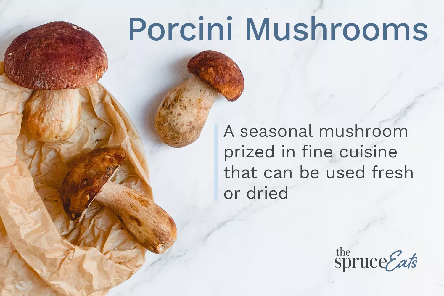 Porcini Mushrooms