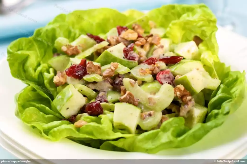 Apple, Celery and Cranberry Salad with Creamy Lemon Vinaigrette