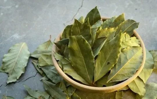 Bay Leaves