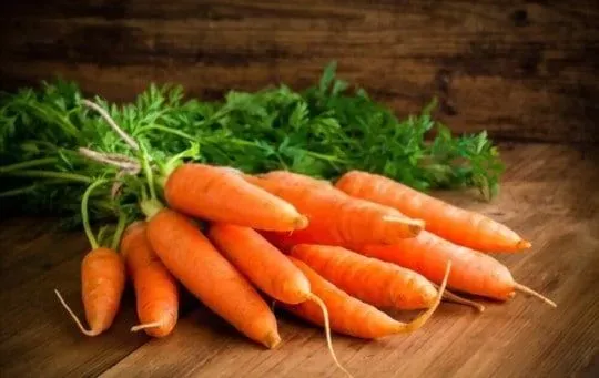 Carrots