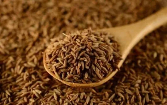 Cumin Seeds