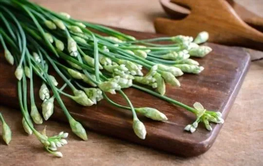 Garlic Chives