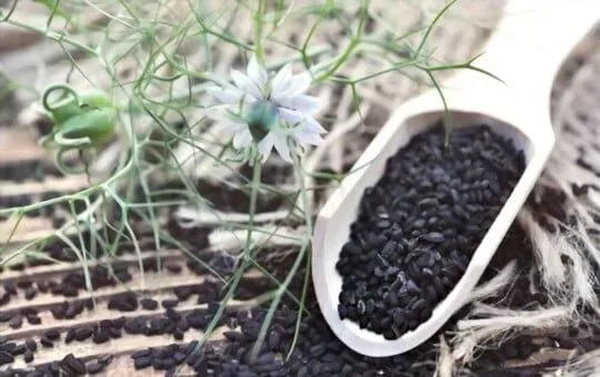 Nigella Seeds