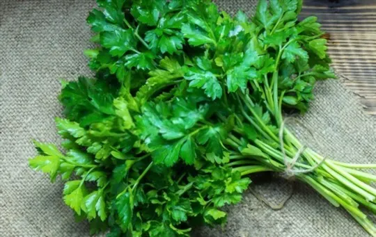 Parsley