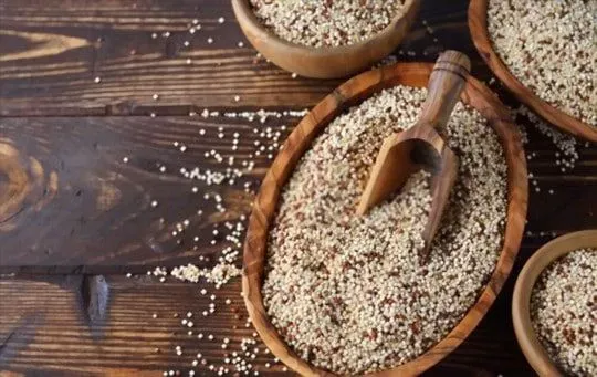 Quinoa