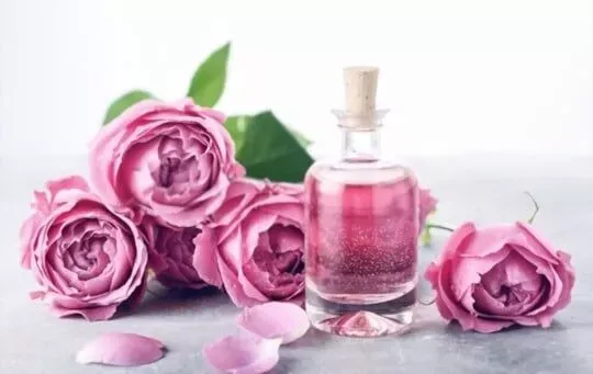 Rose Water