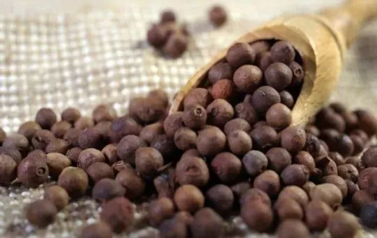 Allspice