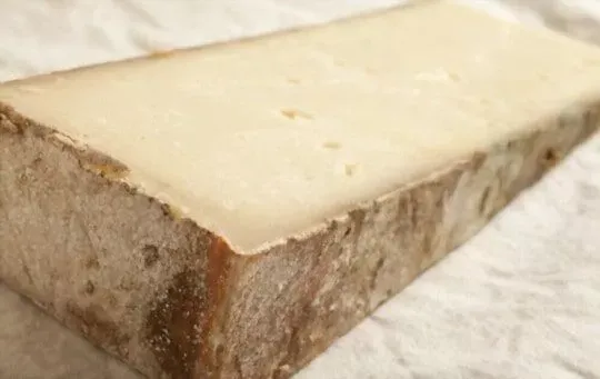 Fontina Cheese