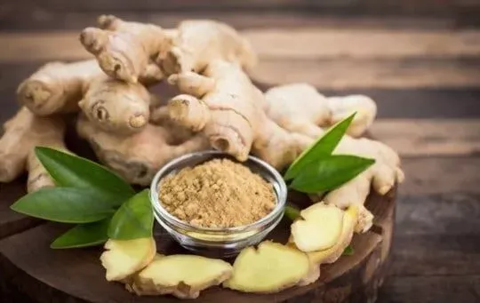 Fresh Ginger