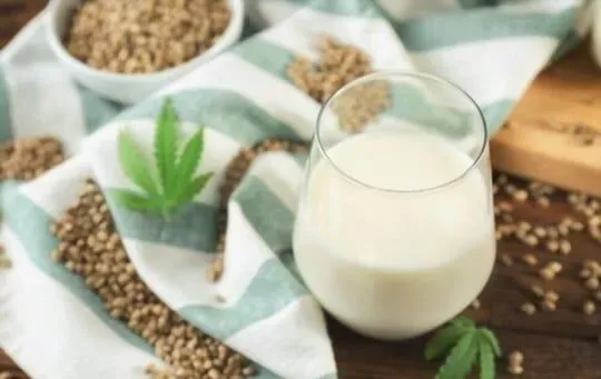 Hemp Milk
