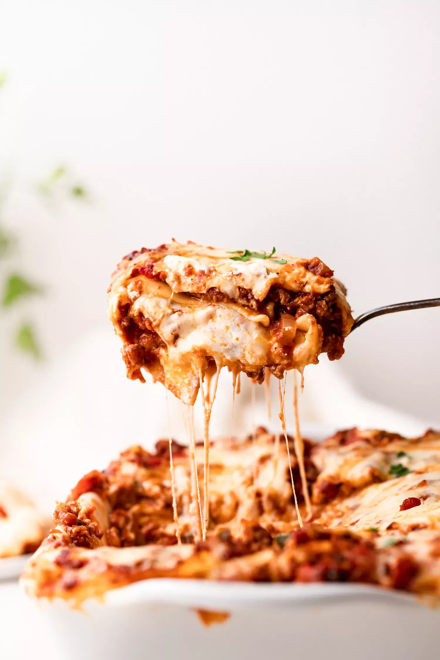 Lasagna