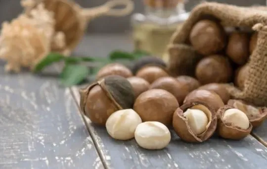 Macadamia Nuts