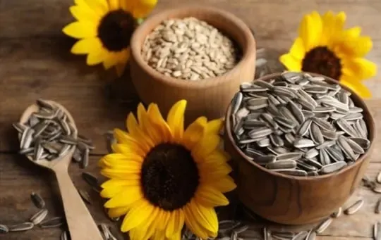 Sunflower Seeds
