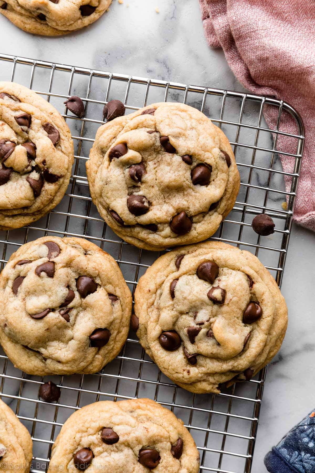 Soft and Chewy Chocolate Chip Cookies