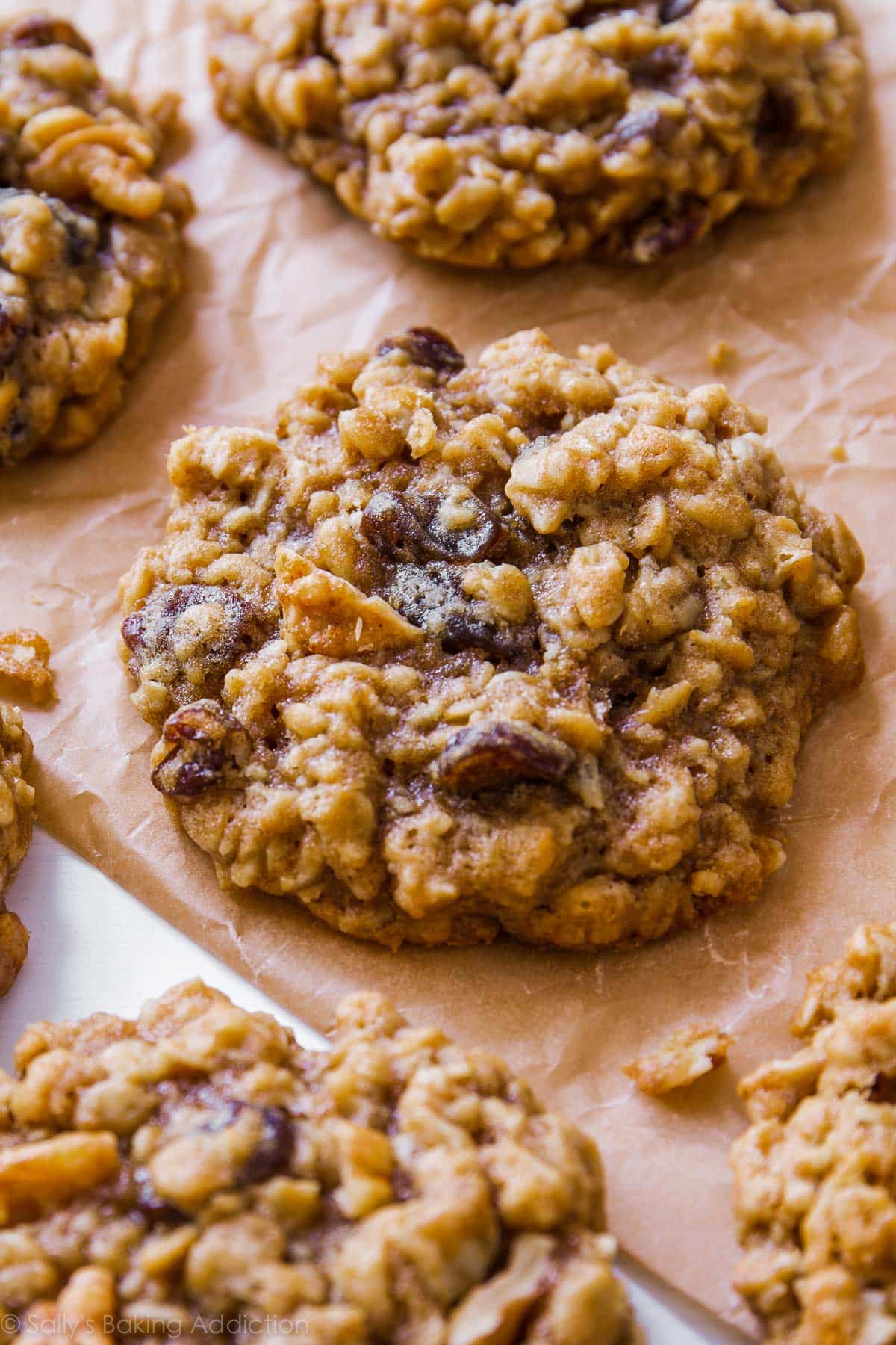 Oatmeal Raisin Cookie