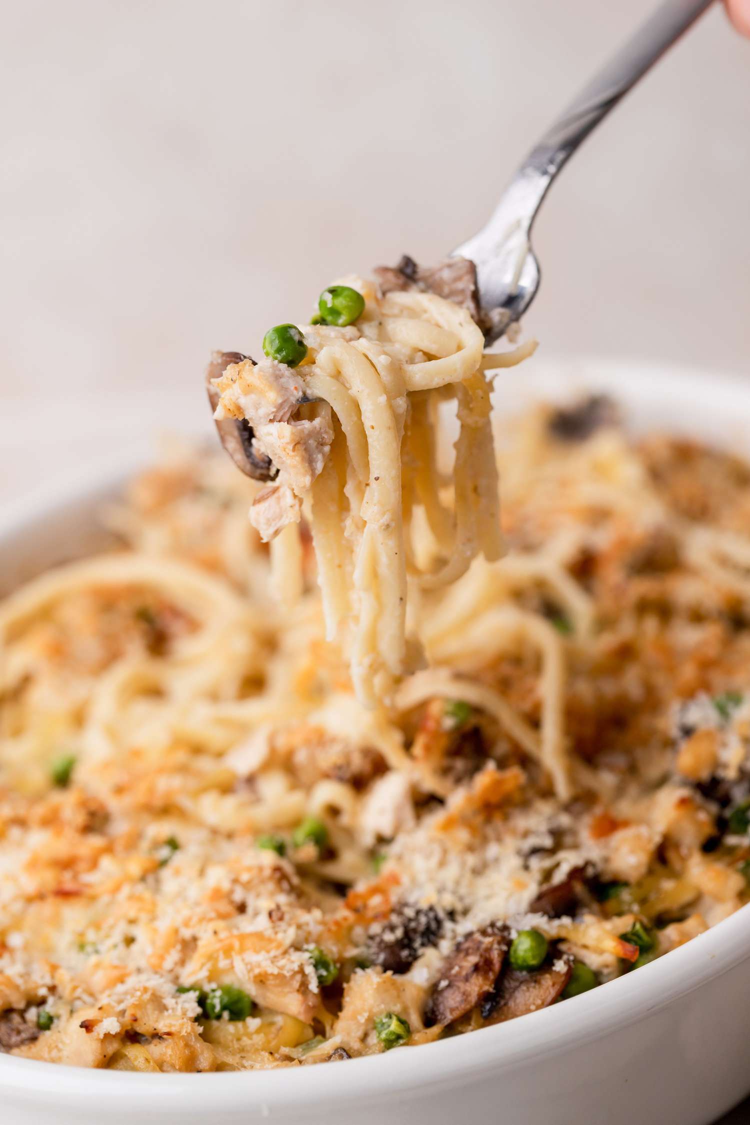 Turkey Tetrazzini