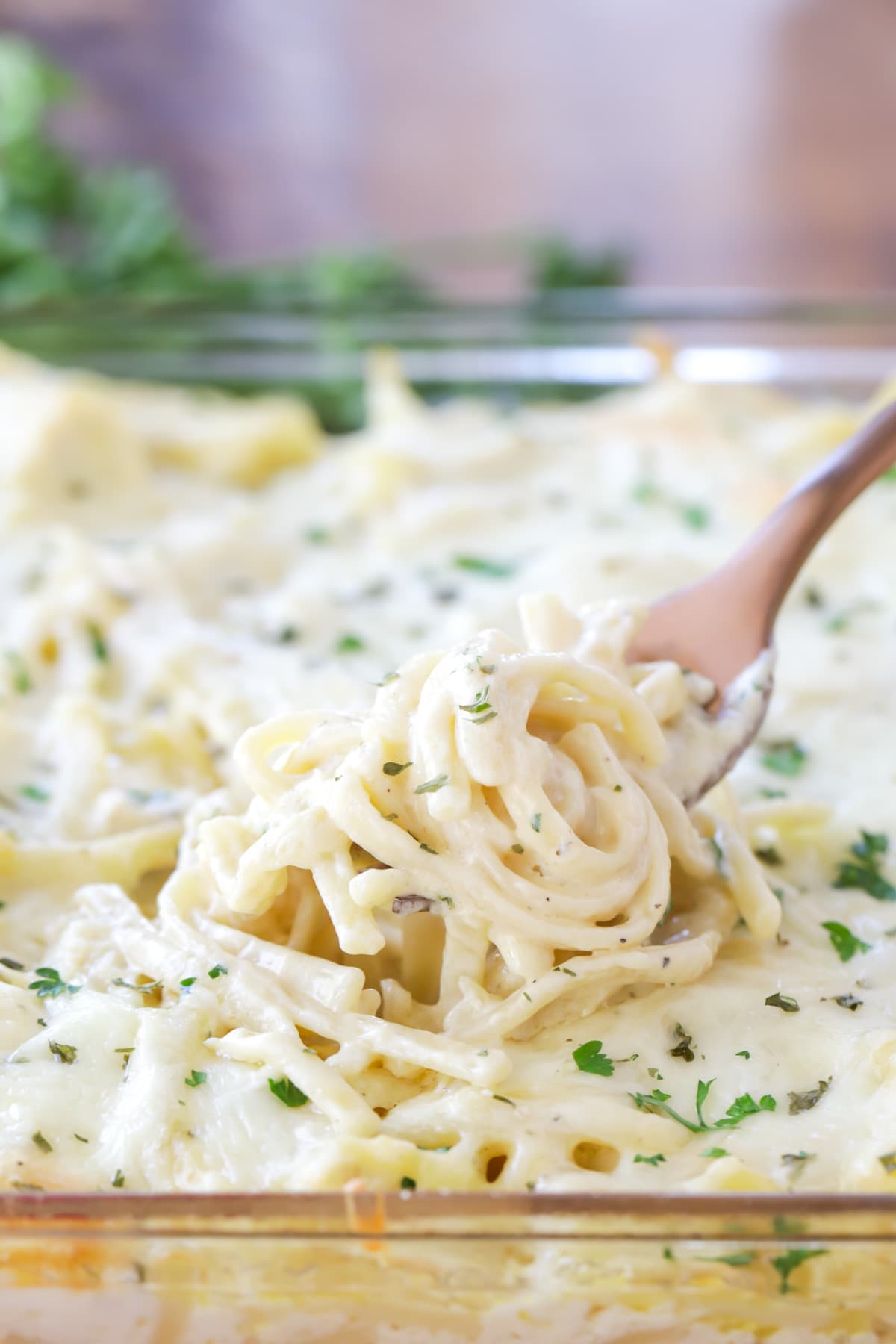 Chicken Tetrazzini
