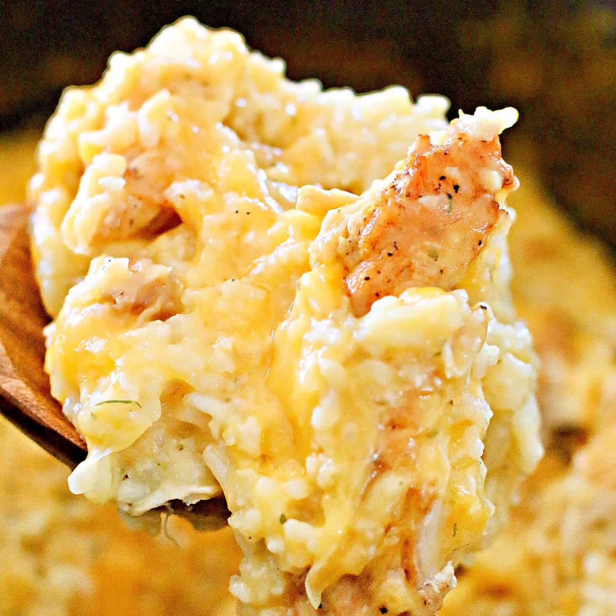 Crockpot Chicken and Rice