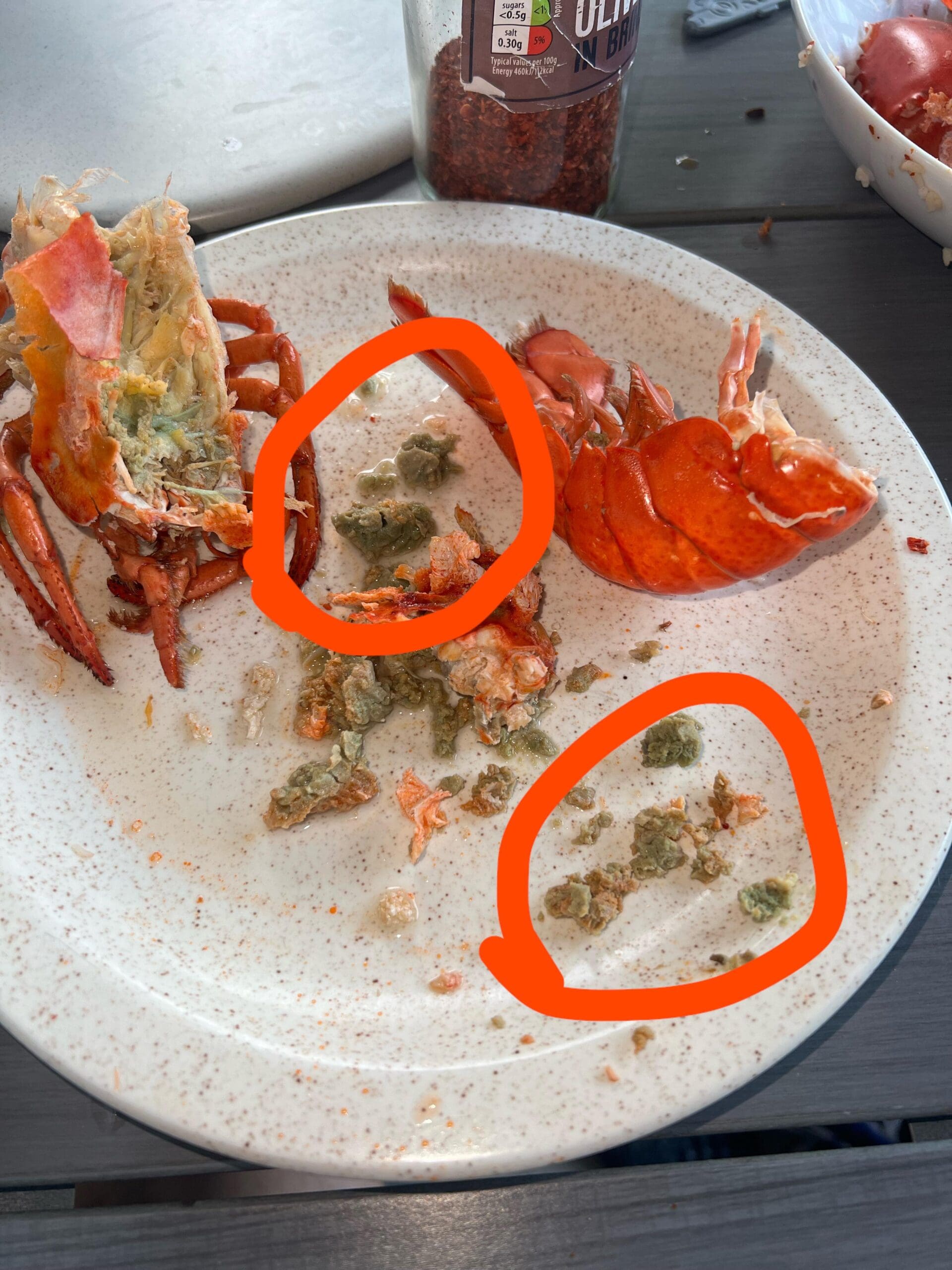 Maine's Dangerous Recipe: Improperly Stored Lobster