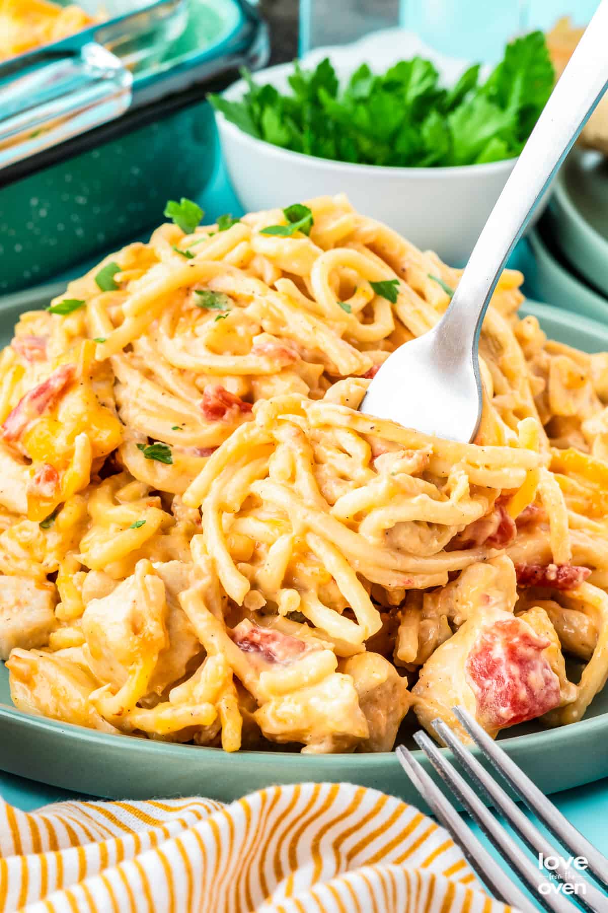 Rotel Chicken Spaghetti (Easy Recipe)